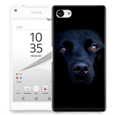 Skal till Sony Xperia Z5 Compact - Labrador