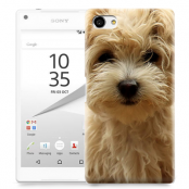 Skal till Sony Xperia Z5 Compact - Terrier